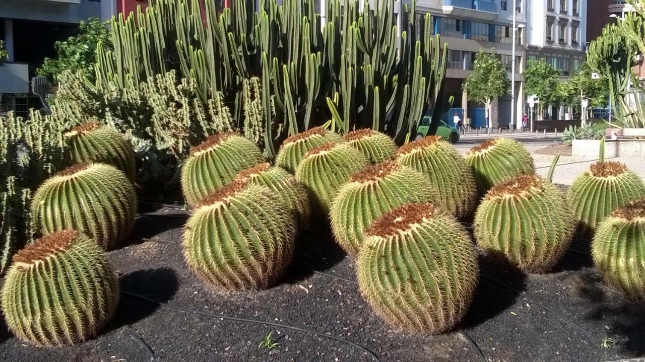 Al Golpito Apartamento Las Palmas de Gran Canárias Exterior foto